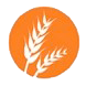 Gluten