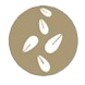Sésamo